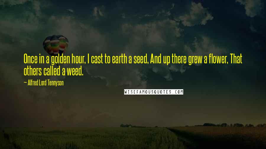 Alfred Lord Tennyson Quotes: Once in a golden hour, I cast to earth a seed, And up there grew a flower, That others called a weed.