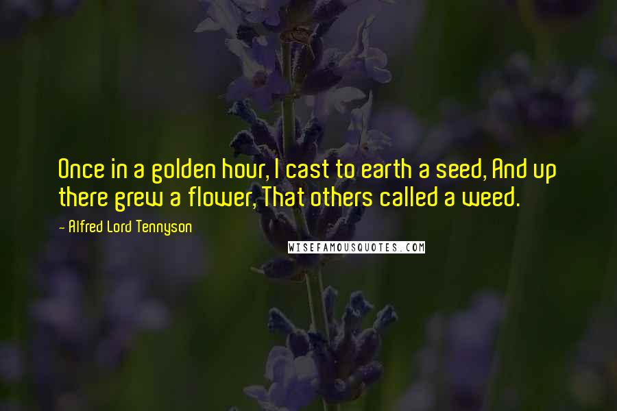 Alfred Lord Tennyson Quotes: Once in a golden hour, I cast to earth a seed, And up there grew a flower, That others called a weed.