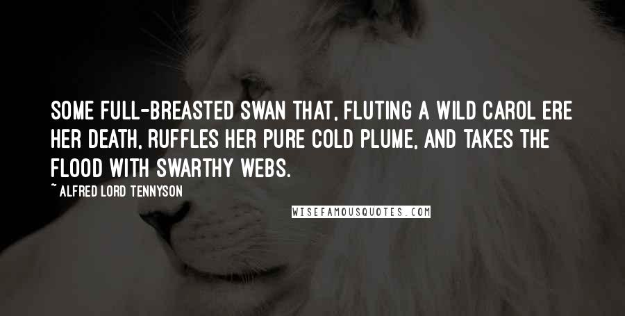 Alfred Lord Tennyson Quotes: Some full-breasted swan That, fluting a wild carol ere her death, Ruffles her pure cold plume, and takes the flood With swarthy webs.