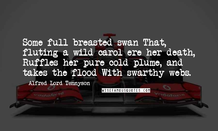 Alfred Lord Tennyson Quotes: Some full-breasted swan That, fluting a wild carol ere her death, Ruffles her pure cold plume, and takes the flood With swarthy webs.