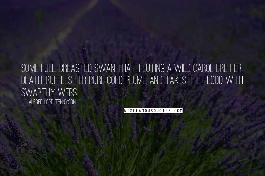 Alfred Lord Tennyson Quotes: Some full-breasted swan That, fluting a wild carol ere her death, Ruffles her pure cold plume, and takes the flood With swarthy webs.
