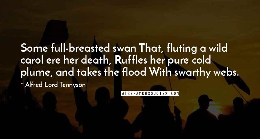 Alfred Lord Tennyson Quotes: Some full-breasted swan That, fluting a wild carol ere her death, Ruffles her pure cold plume, and takes the flood With swarthy webs.