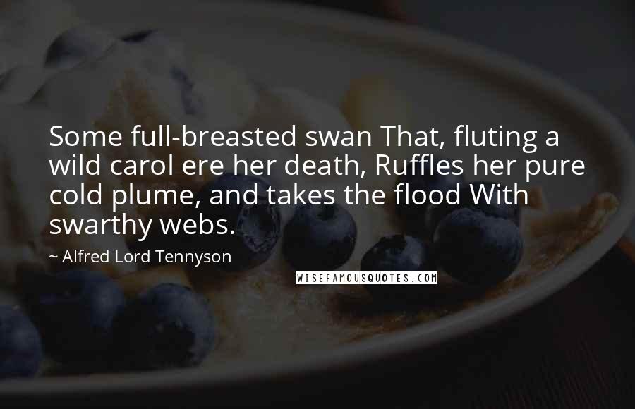 Alfred Lord Tennyson Quotes: Some full-breasted swan That, fluting a wild carol ere her death, Ruffles her pure cold plume, and takes the flood With swarthy webs.