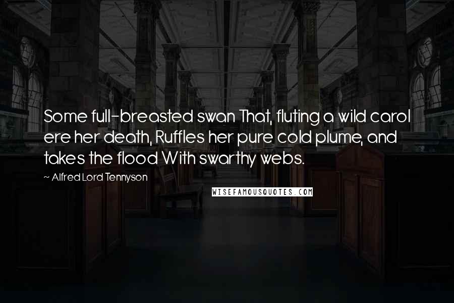 Alfred Lord Tennyson Quotes: Some full-breasted swan That, fluting a wild carol ere her death, Ruffles her pure cold plume, and takes the flood With swarthy webs.