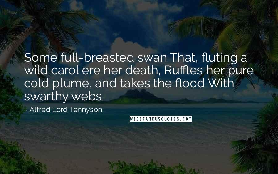 Alfred Lord Tennyson Quotes: Some full-breasted swan That, fluting a wild carol ere her death, Ruffles her pure cold plume, and takes the flood With swarthy webs.