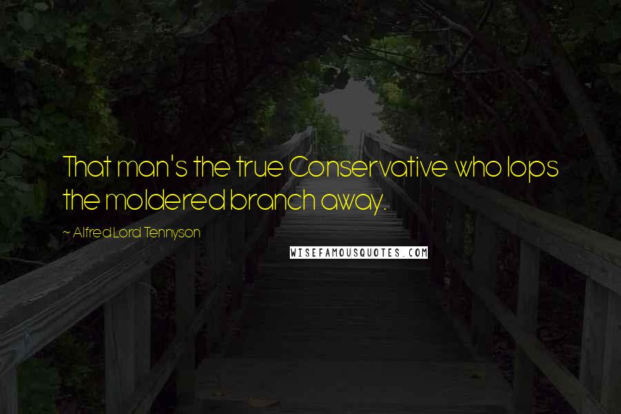 Alfred Lord Tennyson Quotes: That man's the true Conservative who lops the moldered branch away.