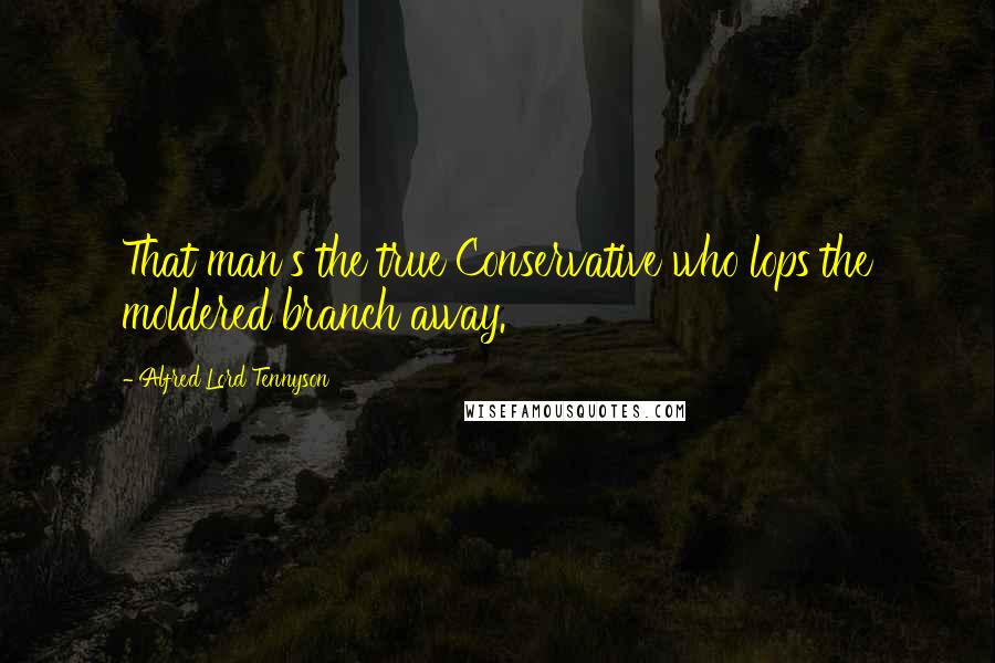 Alfred Lord Tennyson Quotes: That man's the true Conservative who lops the moldered branch away.