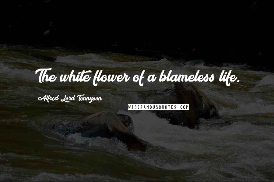 Alfred Lord Tennyson Quotes: The white flower of a blameless life.