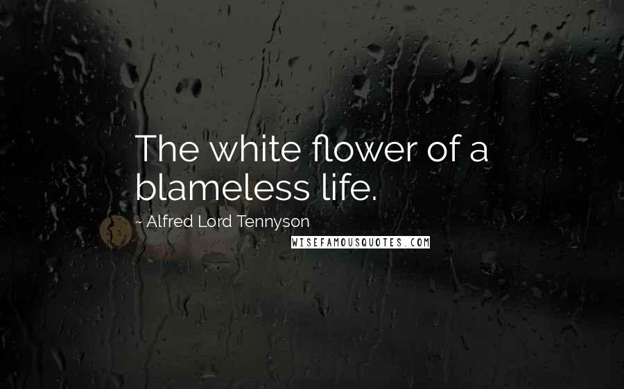 Alfred Lord Tennyson Quotes: The white flower of a blameless life.