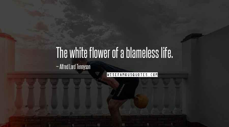 Alfred Lord Tennyson Quotes: The white flower of a blameless life.