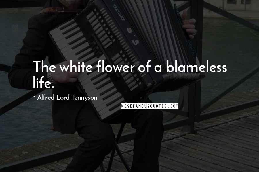 Alfred Lord Tennyson Quotes: The white flower of a blameless life.