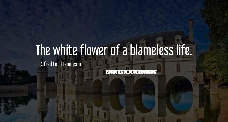Alfred Lord Tennyson Quotes: The white flower of a blameless life.