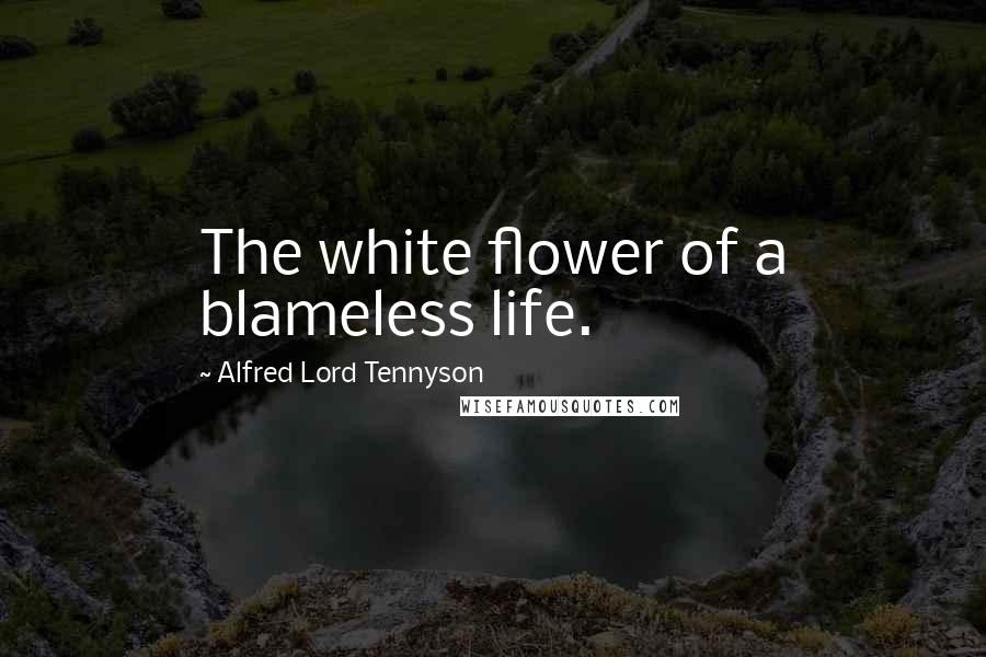 Alfred Lord Tennyson Quotes: The white flower of a blameless life.