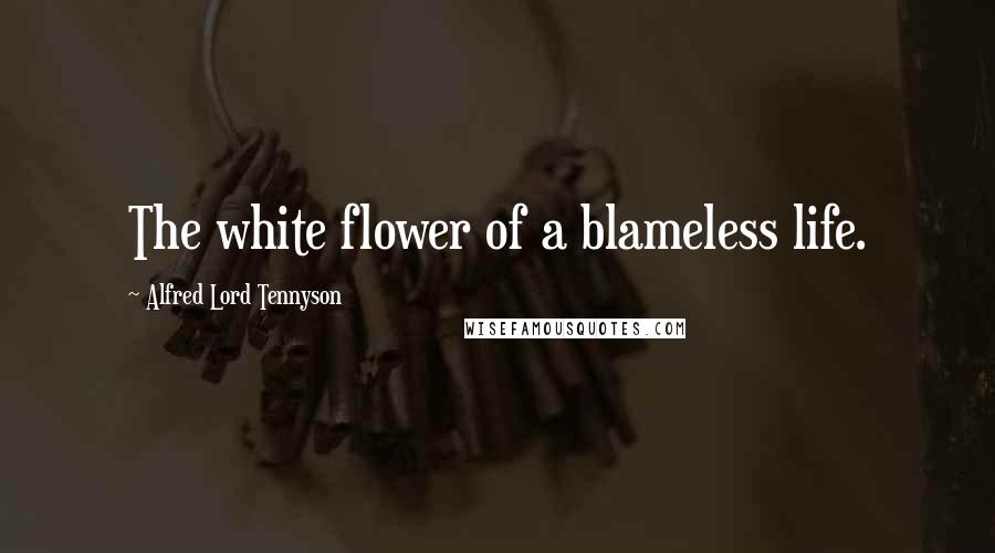 Alfred Lord Tennyson Quotes: The white flower of a blameless life.