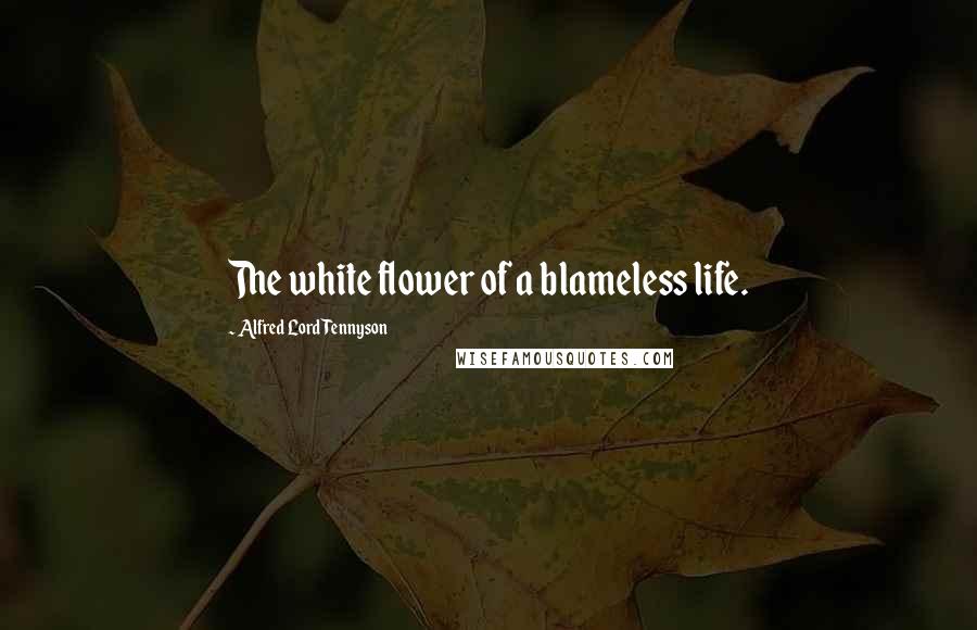 Alfred Lord Tennyson Quotes: The white flower of a blameless life.