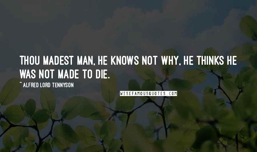 Alfred Lord Tennyson Quotes: Thou madest man, he knows not why, he thinks he was not made to die.