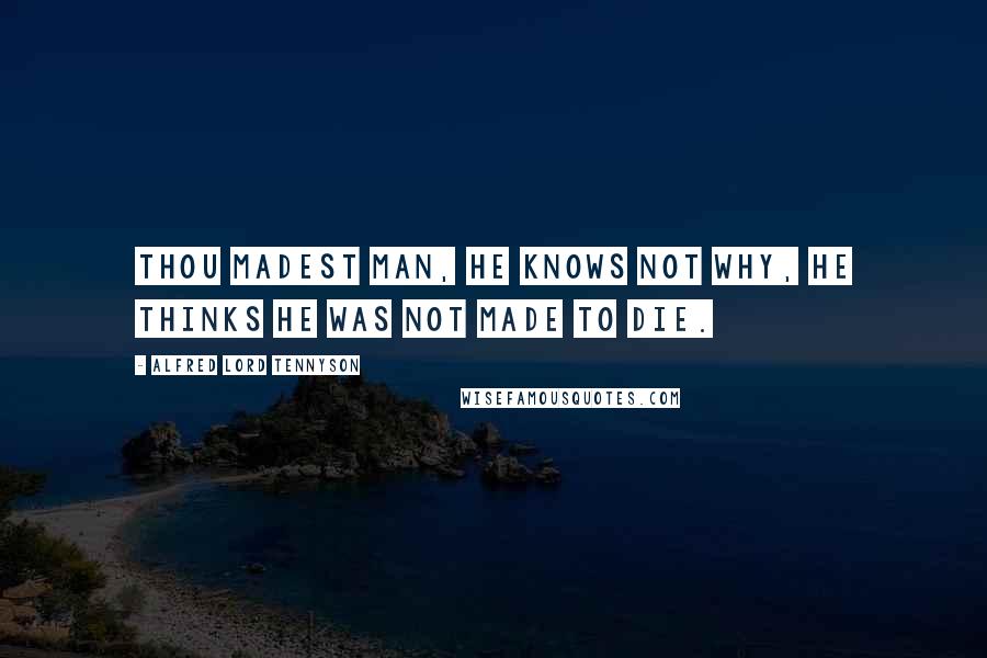 Alfred Lord Tennyson Quotes: Thou madest man, he knows not why, he thinks he was not made to die.