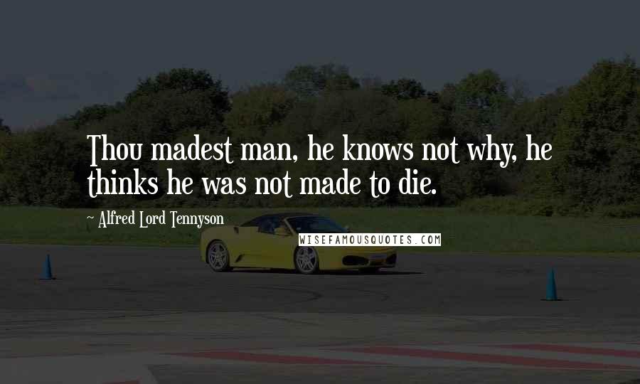 Alfred Lord Tennyson Quotes: Thou madest man, he knows not why, he thinks he was not made to die.