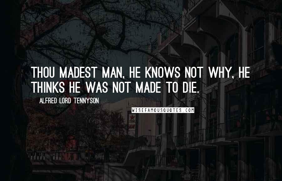 Alfred Lord Tennyson Quotes: Thou madest man, he knows not why, he thinks he was not made to die.
