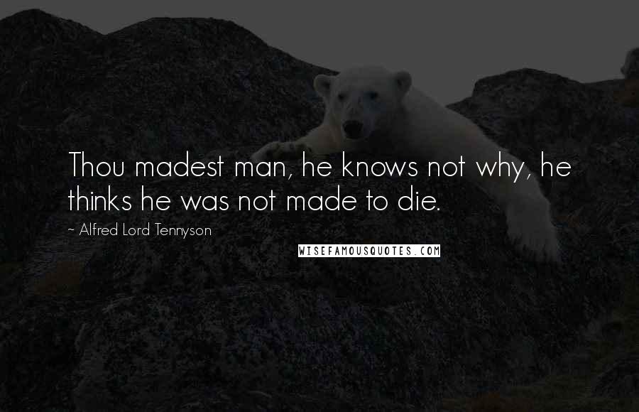 Alfred Lord Tennyson Quotes: Thou madest man, he knows not why, he thinks he was not made to die.