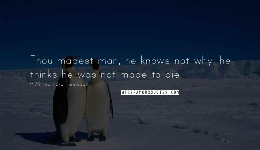Alfred Lord Tennyson Quotes: Thou madest man, he knows not why, he thinks he was not made to die.