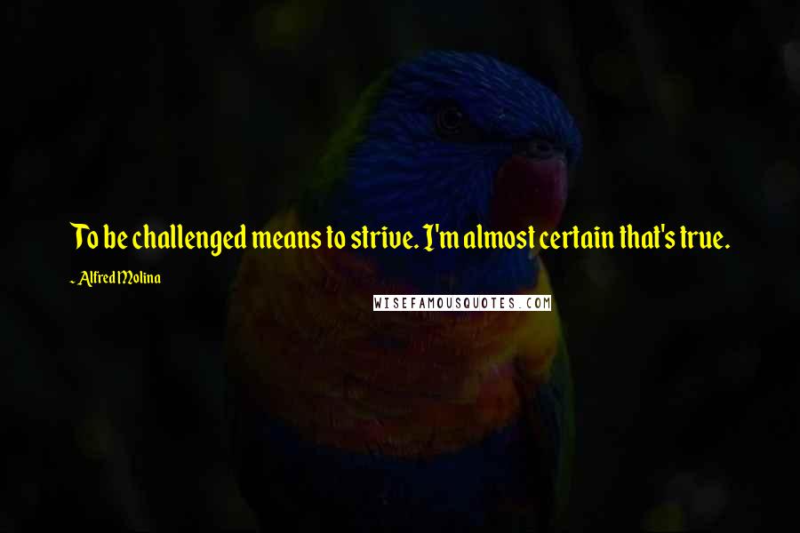 Alfred Molina Quotes: To be challenged means to strive. I'm almost certain that's true.