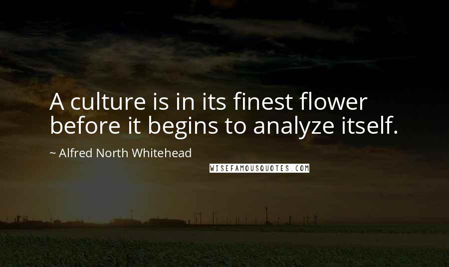 Alfred North Whitehead Quotes: A culture is in its finest flower before it begins to analyze itself.