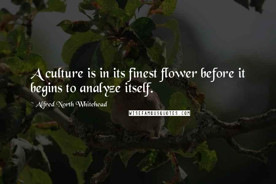 Alfred North Whitehead Quotes: A culture is in its finest flower before it begins to analyze itself.