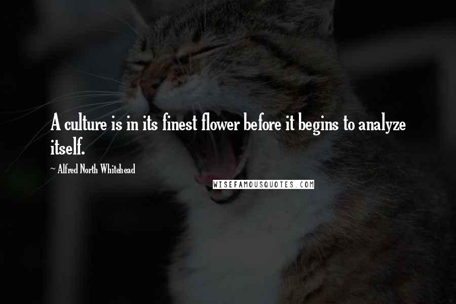 Alfred North Whitehead Quotes: A culture is in its finest flower before it begins to analyze itself.