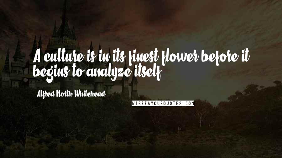 Alfred North Whitehead Quotes: A culture is in its finest flower before it begins to analyze itself.