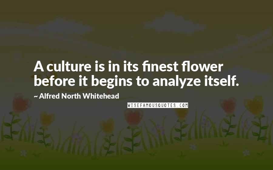 Alfred North Whitehead Quotes: A culture is in its finest flower before it begins to analyze itself.
