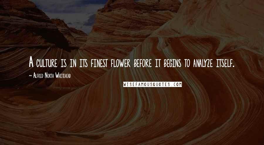 Alfred North Whitehead Quotes: A culture is in its finest flower before it begins to analyze itself.