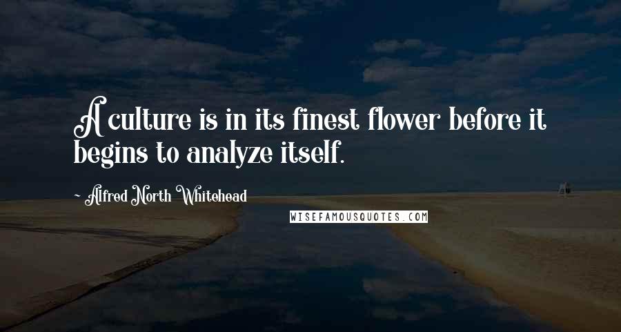 Alfred North Whitehead Quotes: A culture is in its finest flower before it begins to analyze itself.