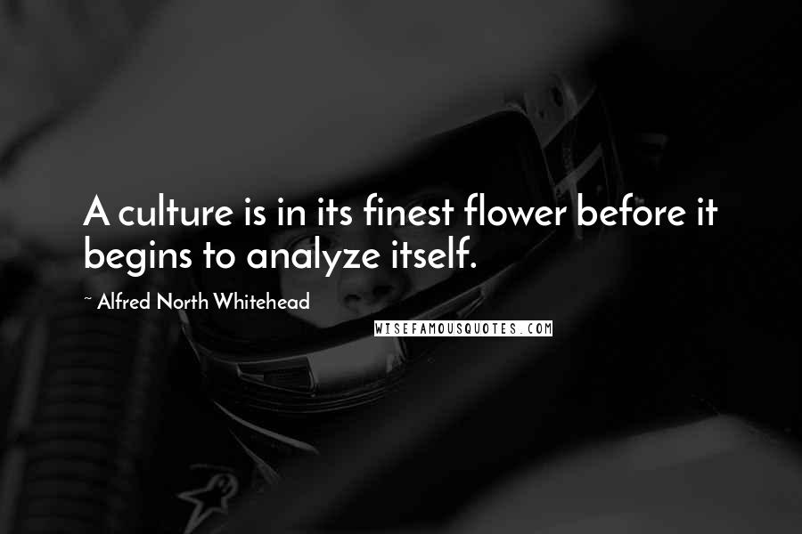 Alfred North Whitehead Quotes: A culture is in its finest flower before it begins to analyze itself.