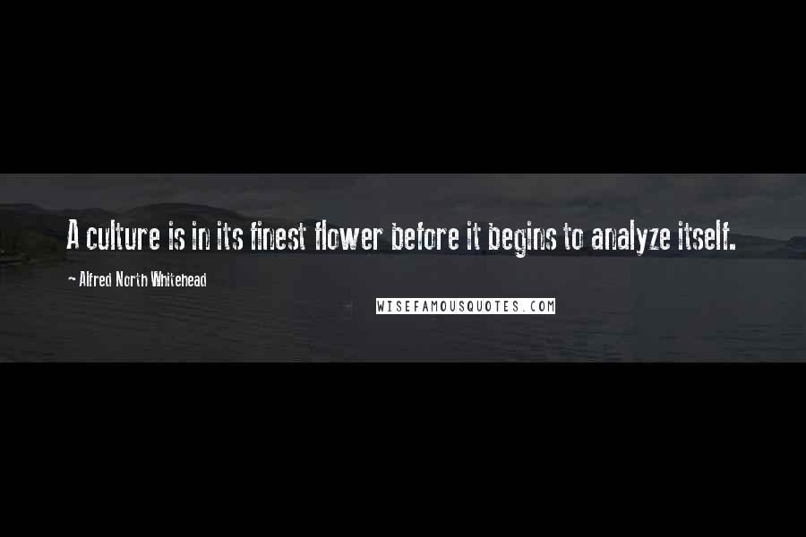 Alfred North Whitehead Quotes: A culture is in its finest flower before it begins to analyze itself.