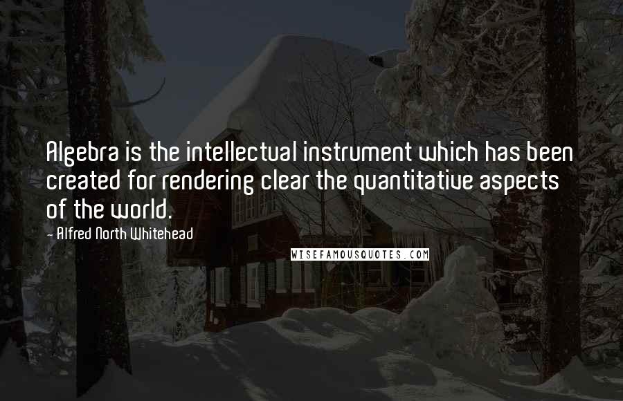 Alfred North Whitehead Quotes: Algebra is the intellectual instrument which has been created for rendering clear the quantitative aspects of the world.