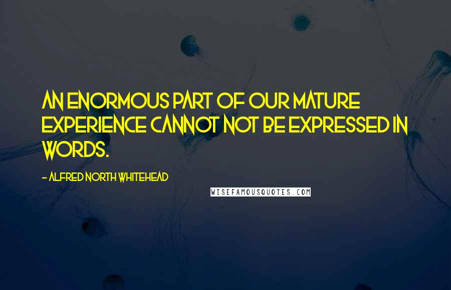 Alfred North Whitehead Quotes: An enormous part of our mature experience cannot not be expressed in words.