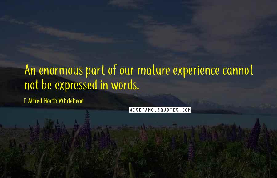 Alfred North Whitehead Quotes: An enormous part of our mature experience cannot not be expressed in words.