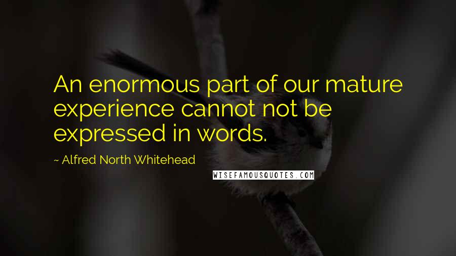 Alfred North Whitehead Quotes: An enormous part of our mature experience cannot not be expressed in words.