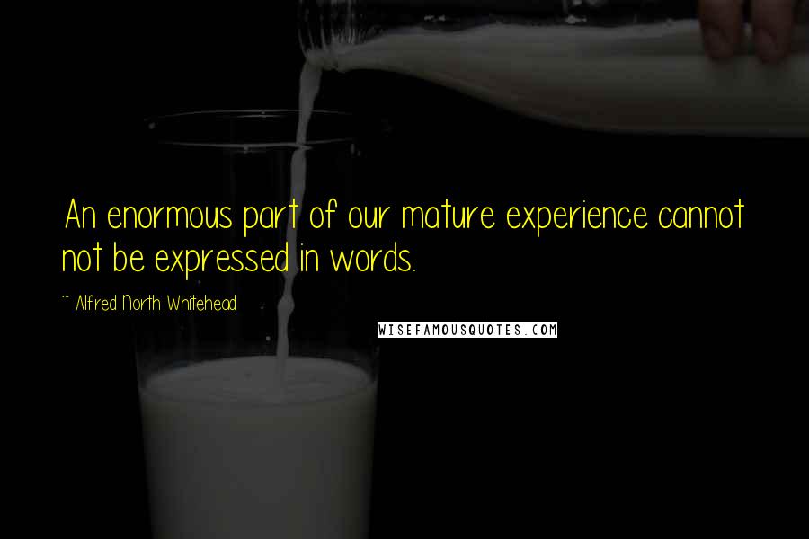 Alfred North Whitehead Quotes: An enormous part of our mature experience cannot not be expressed in words.