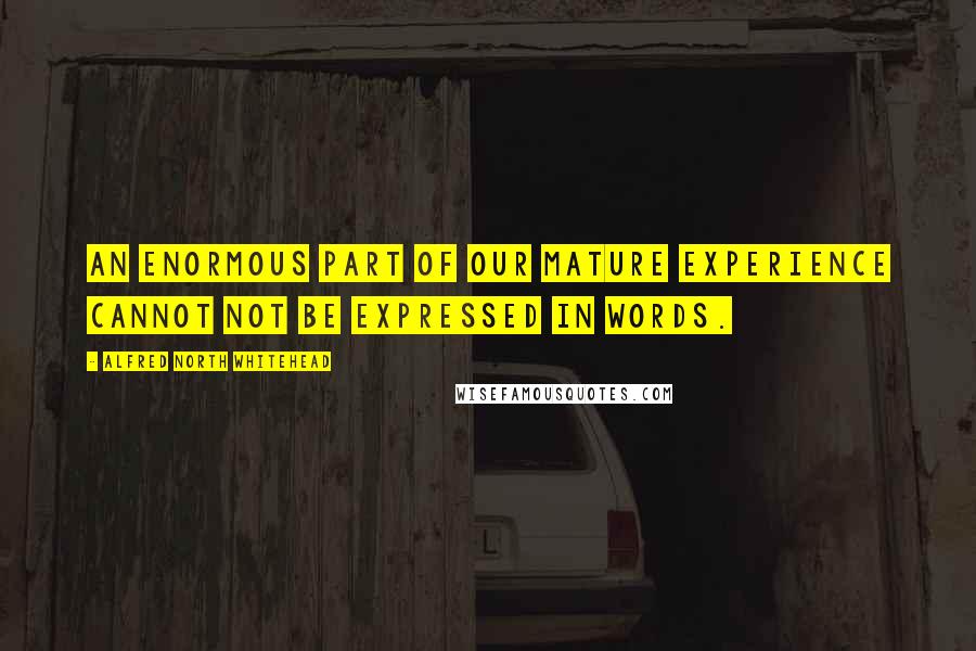 Alfred North Whitehead Quotes: An enormous part of our mature experience cannot not be expressed in words.