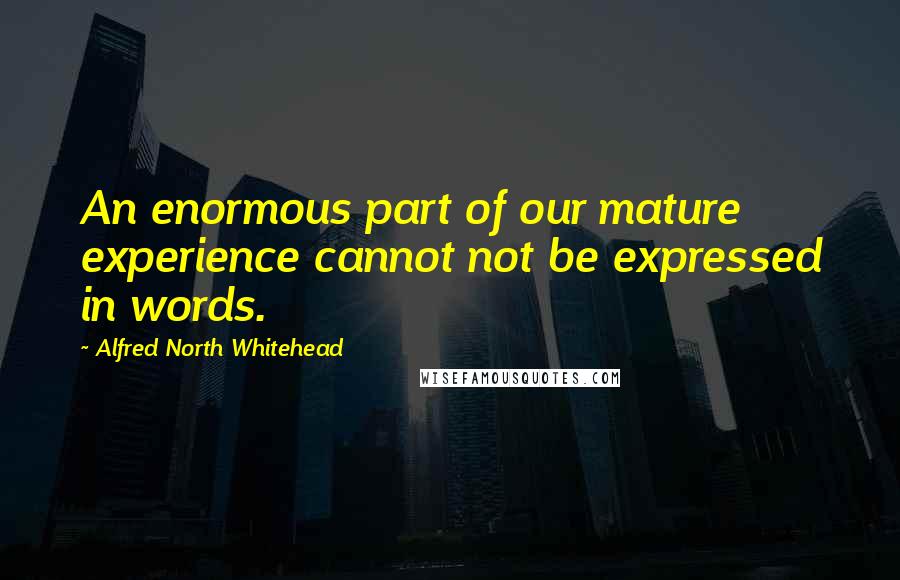 Alfred North Whitehead Quotes: An enormous part of our mature experience cannot not be expressed in words.