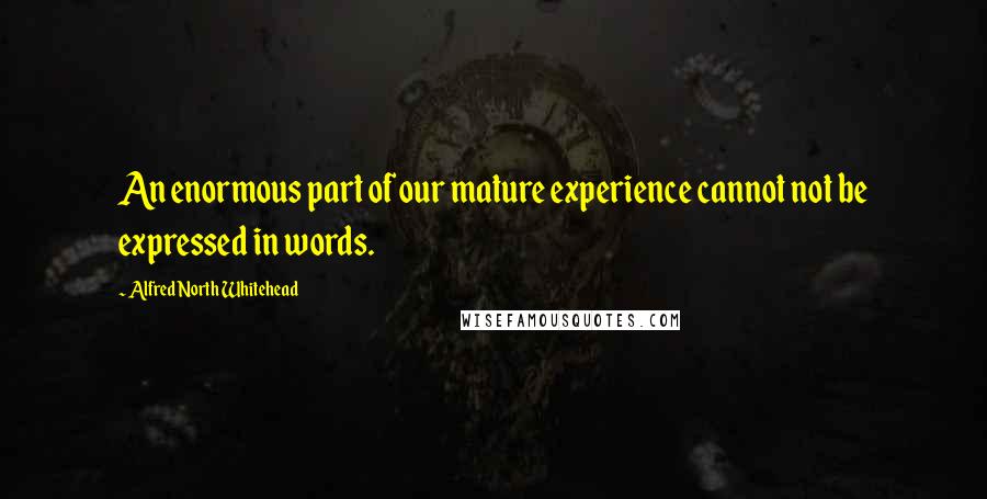 Alfred North Whitehead Quotes: An enormous part of our mature experience cannot not be expressed in words.