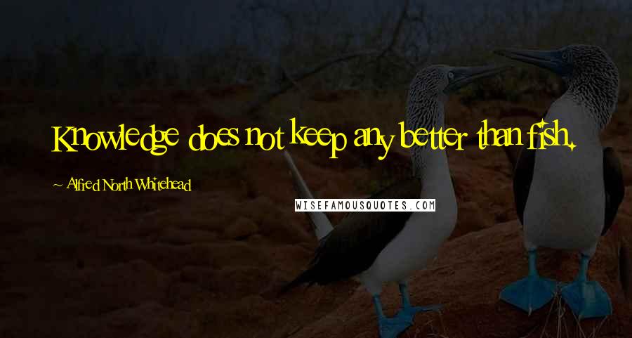 Alfred North Whitehead Quotes: Knowledge does not keep any better than fish.