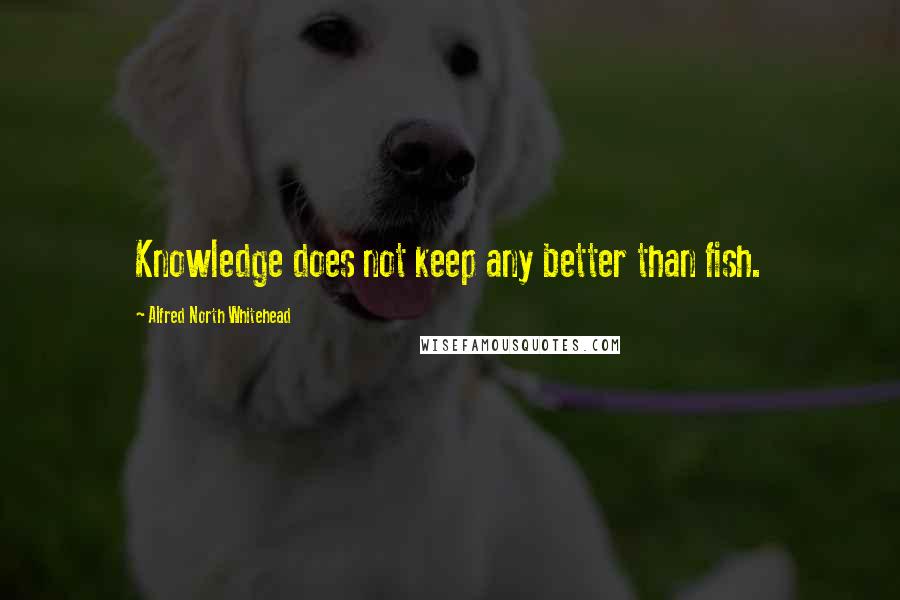 Alfred North Whitehead Quotes: Knowledge does not keep any better than fish.