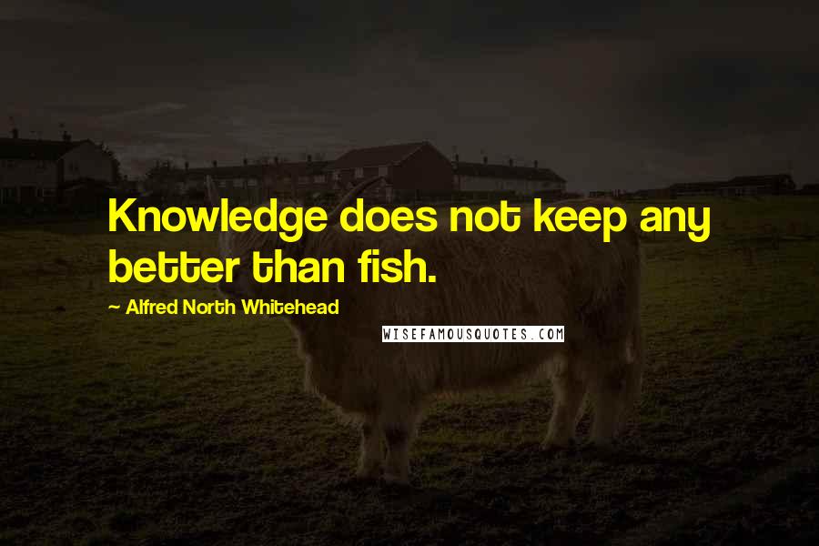 Alfred North Whitehead Quotes: Knowledge does not keep any better than fish.