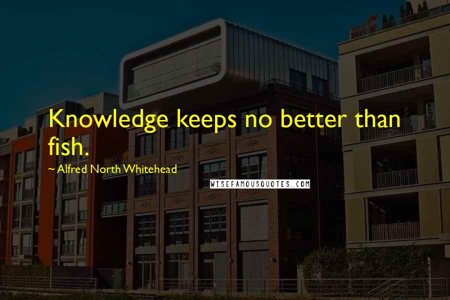 Alfred North Whitehead Quotes: Knowledge keeps no better than fish.