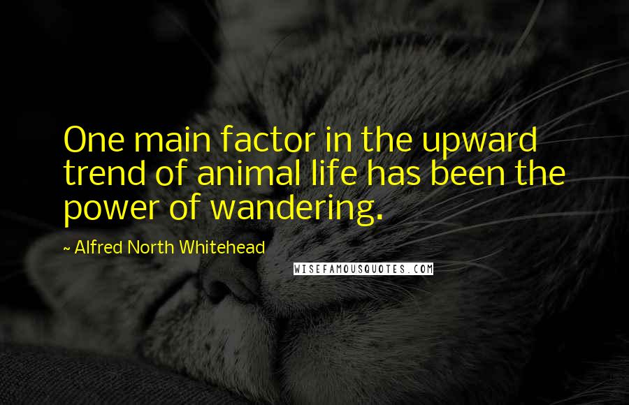 Alfred North Whitehead Quotes: One main factor in the upward trend of animal life has been the power of wandering.