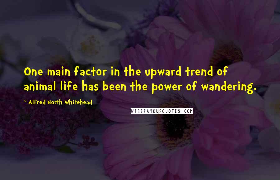 Alfred North Whitehead Quotes: One main factor in the upward trend of animal life has been the power of wandering.