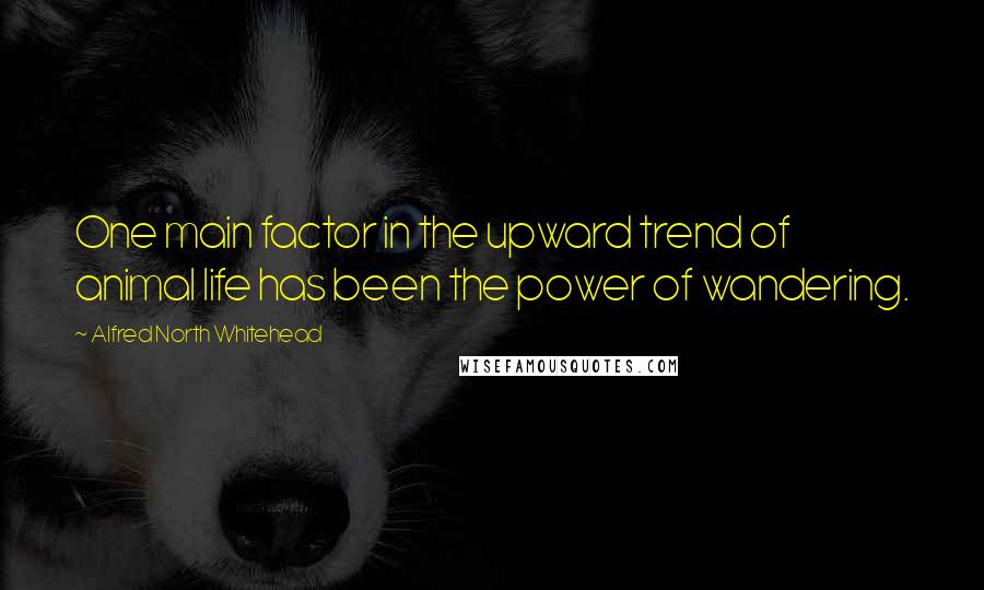 Alfred North Whitehead Quotes: One main factor in the upward trend of animal life has been the power of wandering.